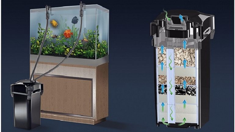 akvaryumlarda filtrasyon