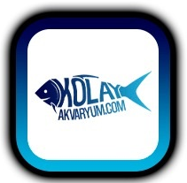 www.kolayakvaryum.com logo