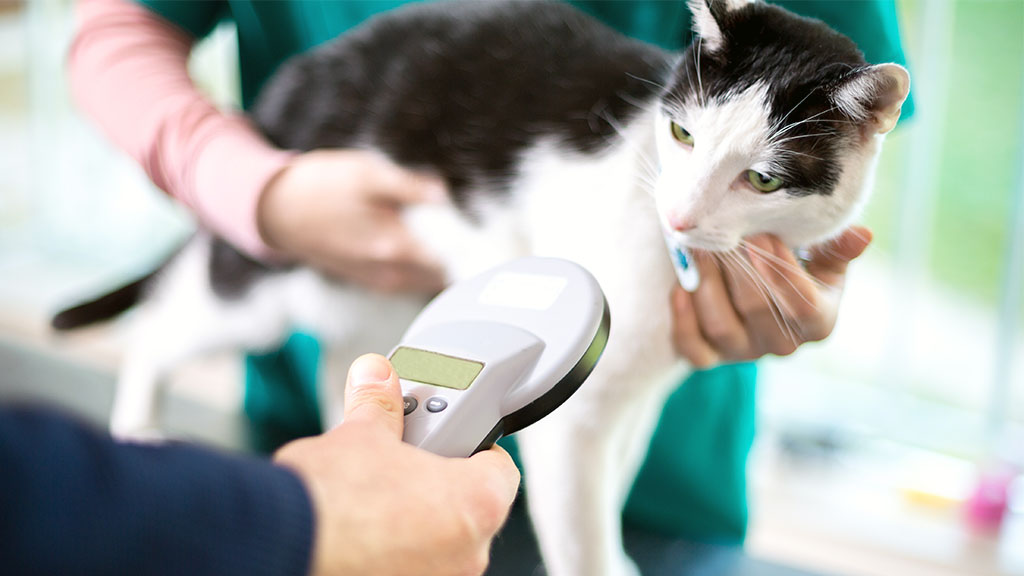 EVCİL HAYVAN MİKROÇİP UYGULAMASI