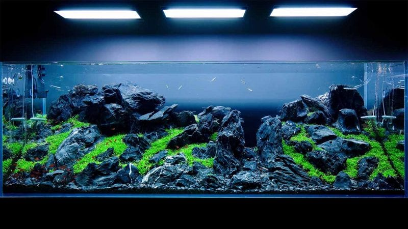 filtrelerin temizliği