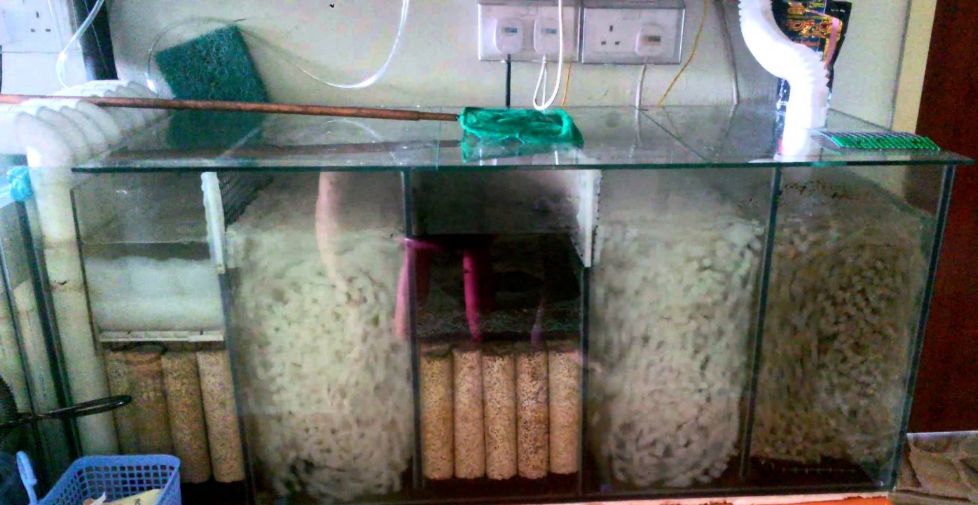 sump filtrelerin temizliği