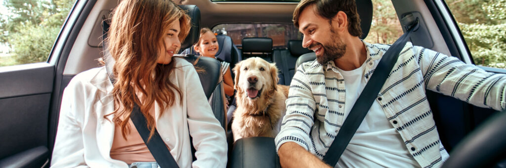 evcil hayvanlar ve uluslararası yolculuk