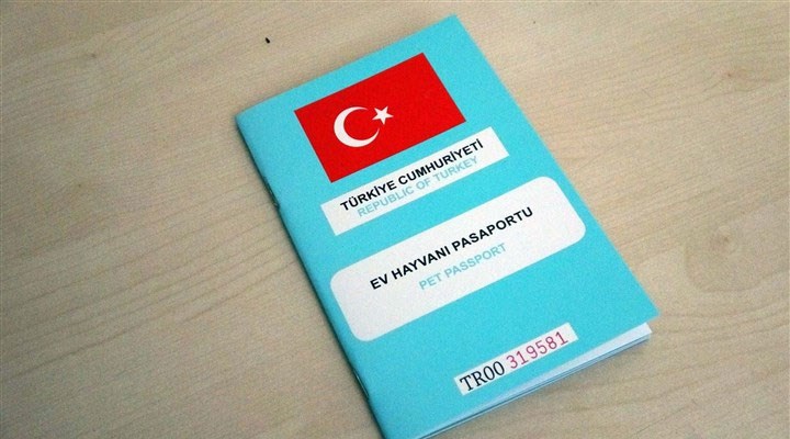 evcil hayvanlar ve uluslararası seyahat pasaportu